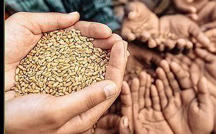 Free grain woman cheating Akola Charges filed against both