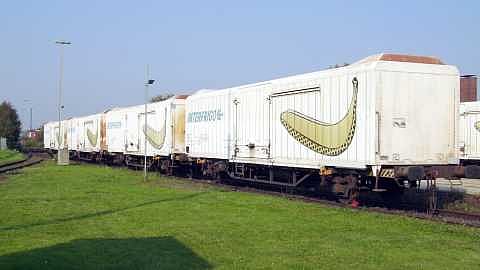 शेतकरी, व्यापाऱ्यांना हवी केळी वाहतूक दरात ५० टक्के सवलत !