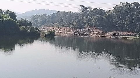 Crocodile Park In Jagbudi River Ratnagiri Marathi News