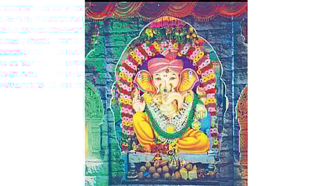 सिंधुदुर्ग : माड्याचीवाडीत 52 कुटुंबांचा अधिपती