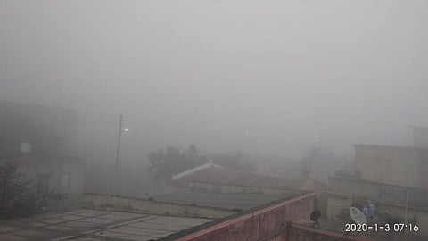 सततच्या धुक्यामुळे पिकांवर परिणाम ; शेतकरी चिंतेत