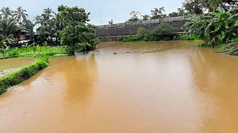 Flood Situation Due To Increasing Height Of Highway In Pandoor