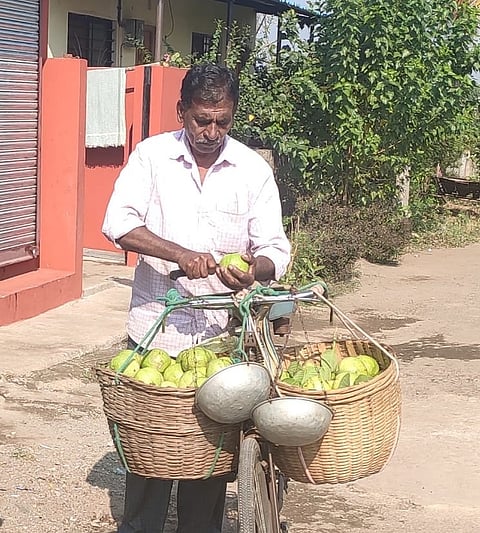 fruit seller famous on tik tok