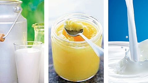 अग्र्यसंग्रह (श्रेष्ठत्व)