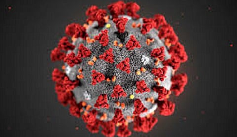 संग्रहित छायाचित्र