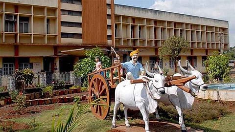 बेळगाव एपीएमसी बाजार मतदानामुळे शनिवार एेवजी रविवारी