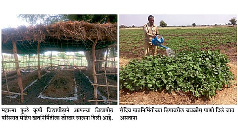 पीक अवशेषांवर आधारित सेंद्रिय खतनिर्मितीचे प्रयोग