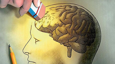 संग्रहित छायाचित्र