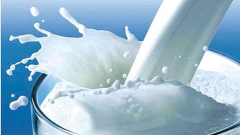 ‘अमूल’ २ एप्रिलपासून कोल्हापुरात