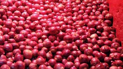 An unidentified person mixed urea fertilizer on onion