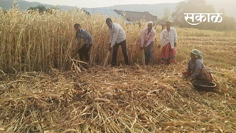 Satara Latest Marathi News