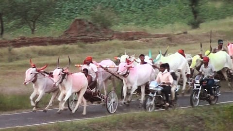 Satara Latest Marathi News