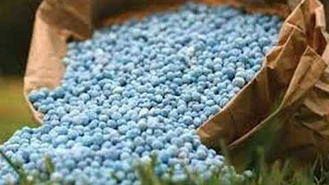 Bogus Fertilizers Pesticides