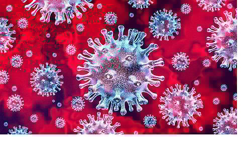 After giving a swab, send the wanderer to jail