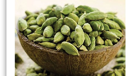 वेलदोडा ३०० रुपयांनी महाग