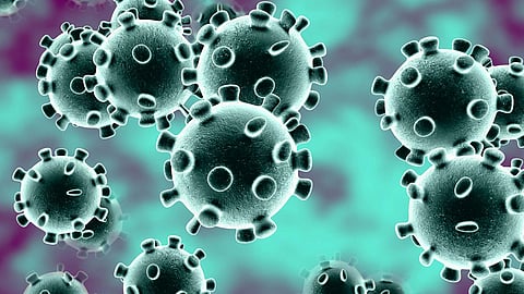 Coronavirus