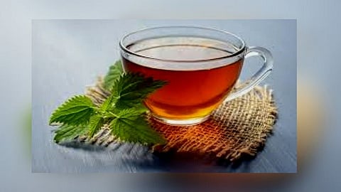 इंटरनेटवर वाचून आयुर्वेदिक काढे बनवतायत? जीवावर बेतू शकतं, आधी हे वाचा...