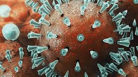 CoronaUpdate : सातारा जिल्ह्यात 511 कोरोनामुक्त; 27 मृत्यू