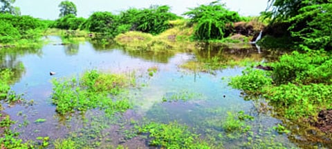 अमरावती धरणाच्या कालव्यांच्या दुरवस्थामूळे वाहू लागले पाणी सैरावैरा
