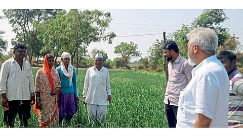 मालेगाव (जि. नाशिक) - बांधावर जात शुक्रवारी शेतकऱ्यांशी संवाद साधताना कृषिमंत्री दादा भुसे.