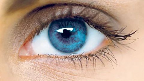 Eye