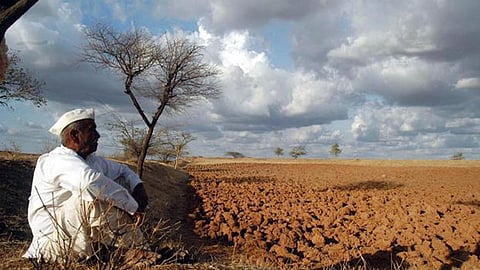 Farmer