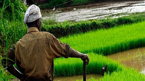 Farmers affected by the rains have not received compensation nashik marathi news