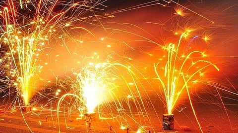 यंदाच्या दिवाळीत पशु-पक्ष्यांनी घेतला मोकळा श्वास, जखमी होण्याच्या संख्येत घट