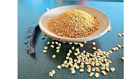 Fenugreek
