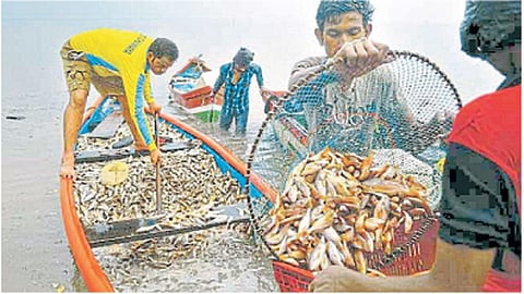 process of awarding pond contract for fishing Fisheries