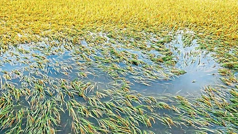 Flood_Damage