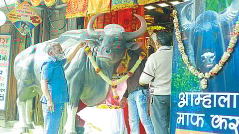 बुधवार पेठ - कोथरूड येथे बुधवारी मृत्युमुखी पडलेल्या गव्याच्या पार्श्वभूमीवर भारत फ्लॅग फाउंडेशनने पासोड्या विठोबा मंदिराजवळ प्रतिकृती उभारली आहे. त्यासोबत फ्लेक्स लावून श्रद्धांजली अर्पण केली आहे.