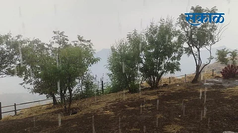 heavy rain and wind