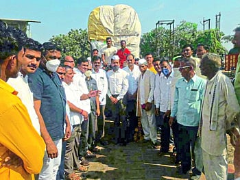 कापसाची पाच हजार ८२५ रुपये क्विंटल दराने खरेदी