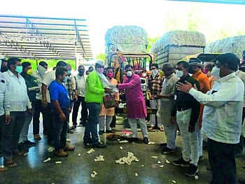 दोंडाईचा बाजार समितीत...दररोज चार हजार क्विंटल कापसाची खरेदी