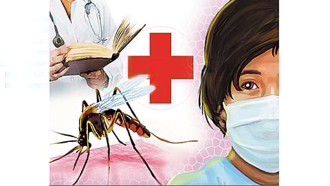 Nanded Updates : जिल्ह्यातील २९ जणांना डेंग्यूची लागण