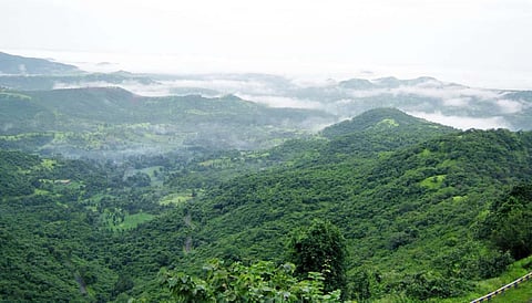 amboli - dodamarg forest conservation Decision