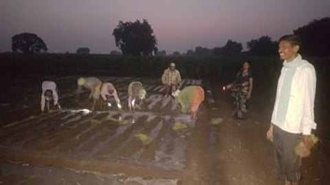 विहिर, कुपनलिका तुडुंब, तरी शेतकर्यांना भल्या पहाटे का यावे लागते शेतात, तर मग वाचा !