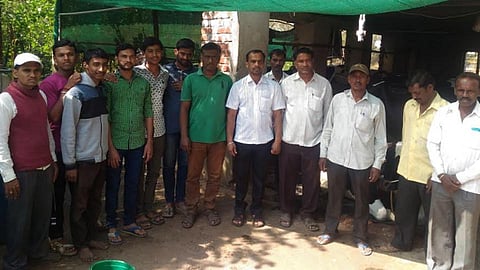 उच्चशिक्षित तरुणांचे दूध उत्पादनात करिअर