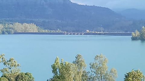 'कोयना' शतकाच्या उंबरठ्यावर; धरण क्षेत्रात मुसळधार!