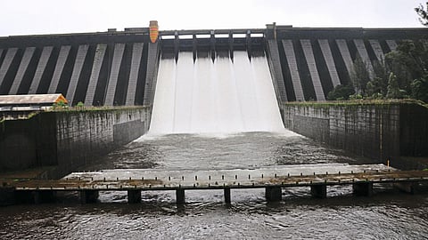 कोयना जलाशयातून तीन टीएमसी पाणी कृष्णा नदीस सोडले जावे,