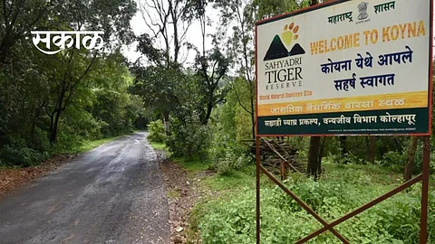 चुलीवरचे जेवण! 'सह्याद्री'त आंदाेलनाचा इशारा