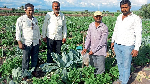 प्रयोग पाहणीसाठी आलेल्या शेतकऱ्यांना कामगंध सापळ्यात अडकलेले पतंग दाखविताना कुंडलिक कुंभार.