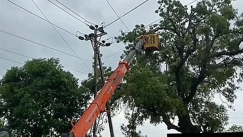 आंबेगाव, जुन्नर तालुक्यात महावितरणचे दुरुस्तीचे काम युद्धपातळीवर सुरू