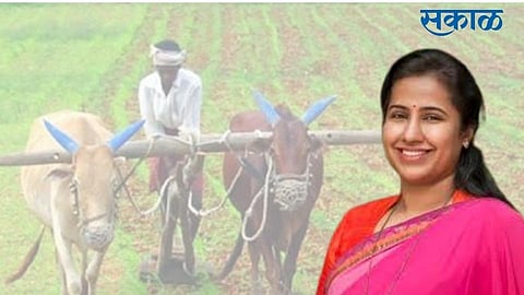 MLA Meghna Sacore-Bordikar has demanded the government to provide financial assistance to the affected farmers. 2.jpg