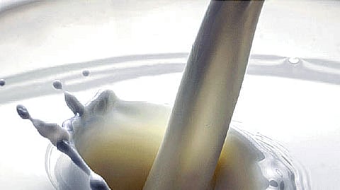 Hike In Milk Rate latest marathi news