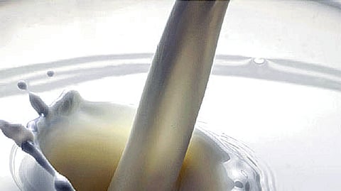 Hike In Milk Rate latest marathi news