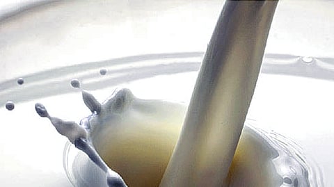 Hike In Milk Rate latest marathi news