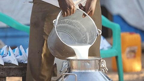 जुनी सांगवीत दूध वितरणात येताहेत अडचणी