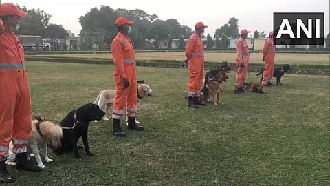 NDRF_Dog_Squad